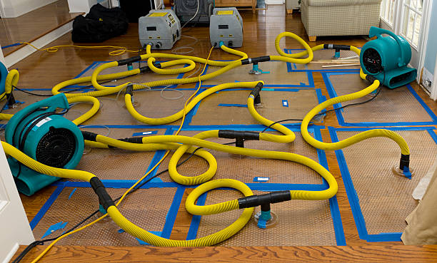 Professional Water Extraction technician working in Olney, IL